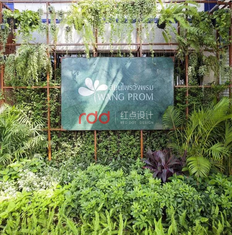 辦公室設計因為顏色、質地和綠植而顯得格外清涼-1.jpg 辦公室設計因為顏色、質地和綠植而顯得格外清涼-1.jpg