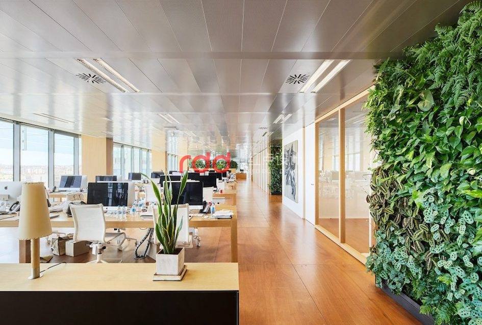 西班牙馬德里Chemo Office辦公室設計-3.jpg