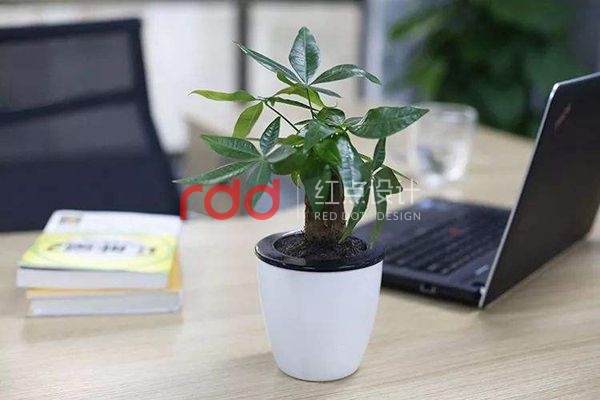 timg (1).jpg timg (1).jpg