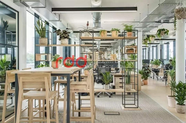 timg (1).jpg timg (1).jpg